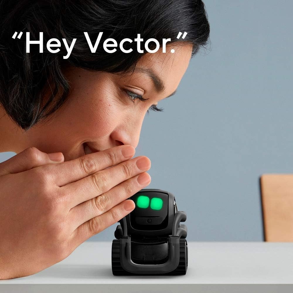 AI ChatGPT 2.0接続ロボットコンパニオン、顔認識 - Kids No Education のレビューと価格